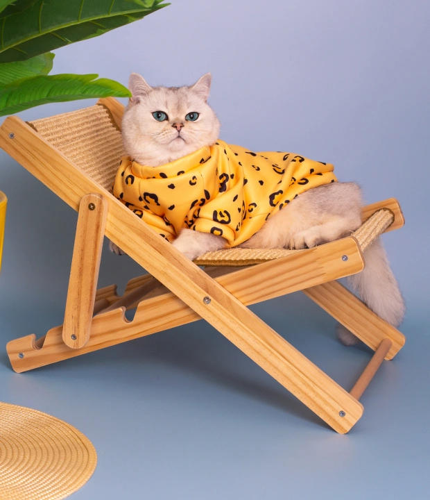 Cat Pain Management