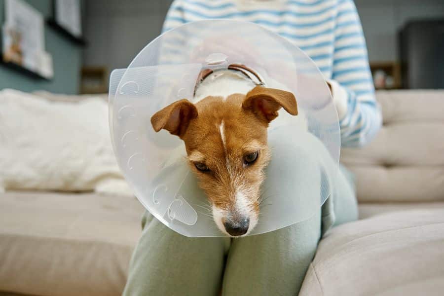 Urgent Treatment Guide